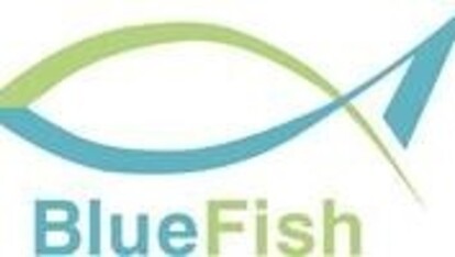 Bluefish.jpg